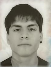 Header Avatar